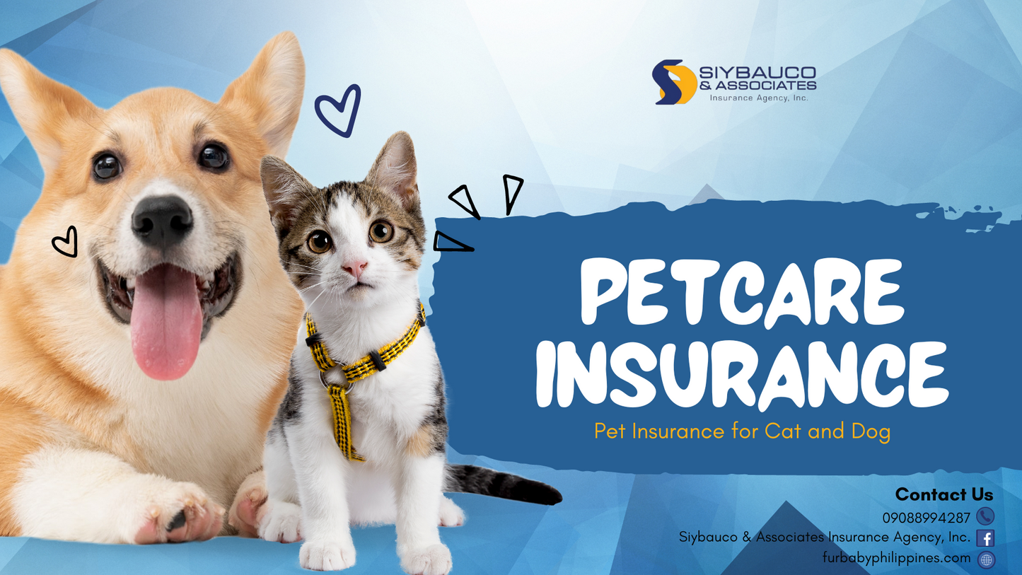 Pet Care Insurance - Malayan's