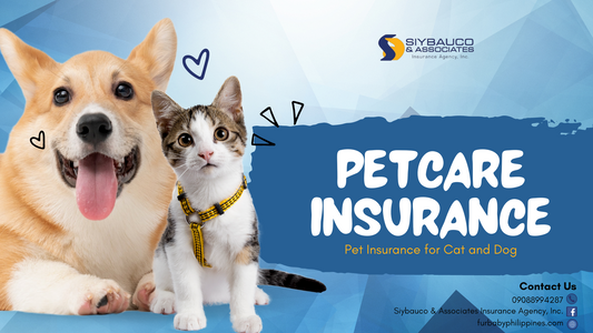 Pet Care Insurance - Malayan's