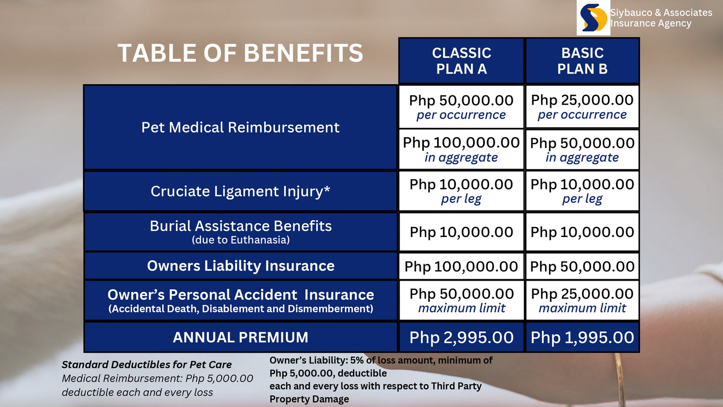 Pet Care Insurance - Malayan – Siybauco & Associates Insurance Agency Inc.