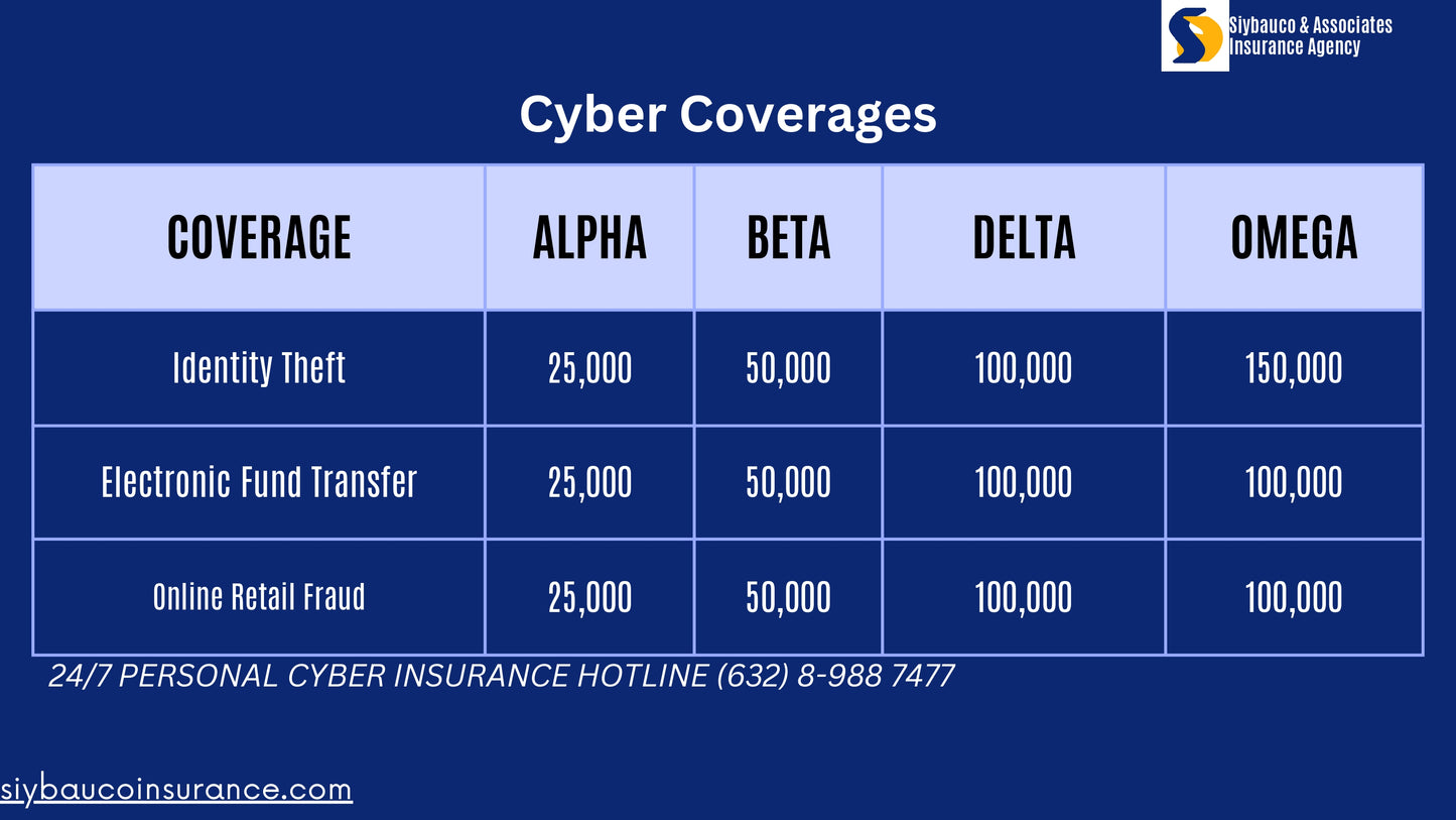 Personal Cyber Insurance - Philippine British Assurance Company, Inc.